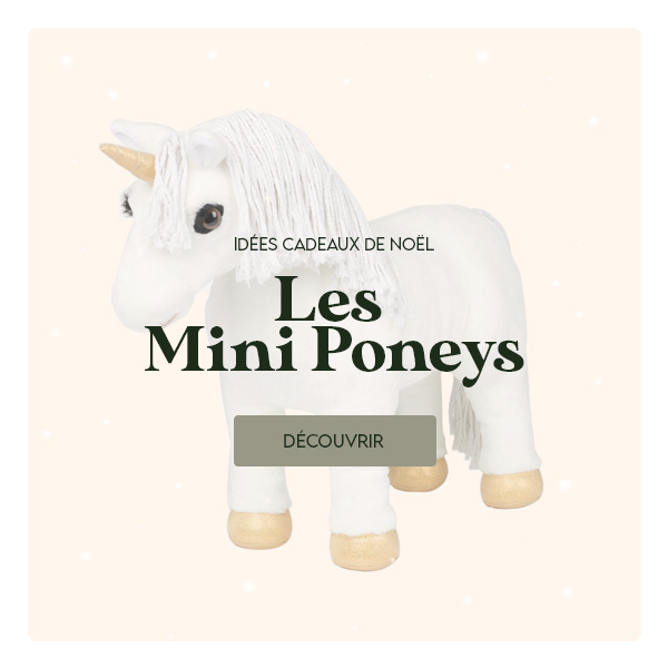 Mini Poneys LeMieux